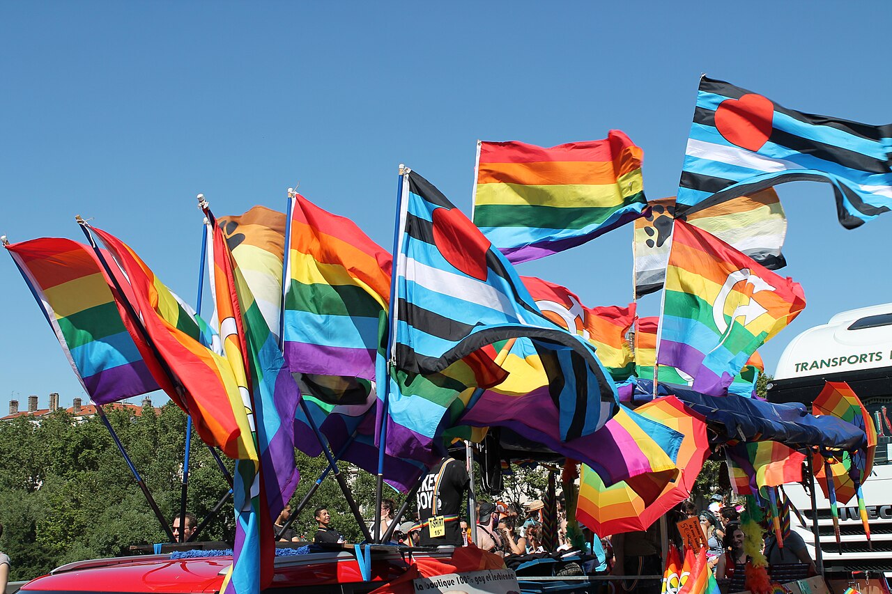 Bandeiras da diversidade Pride Lyon 2016