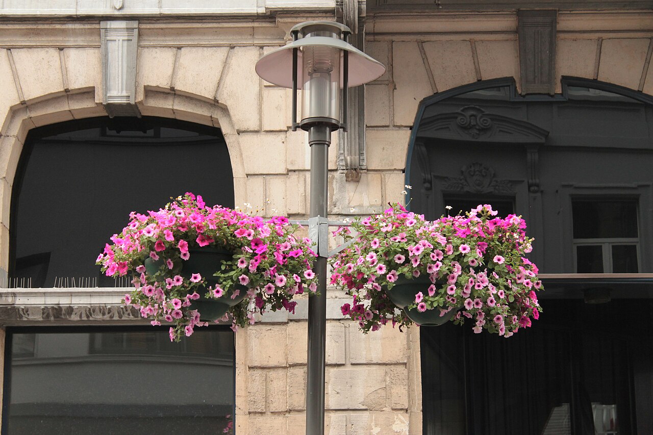 Street light in Antwerp