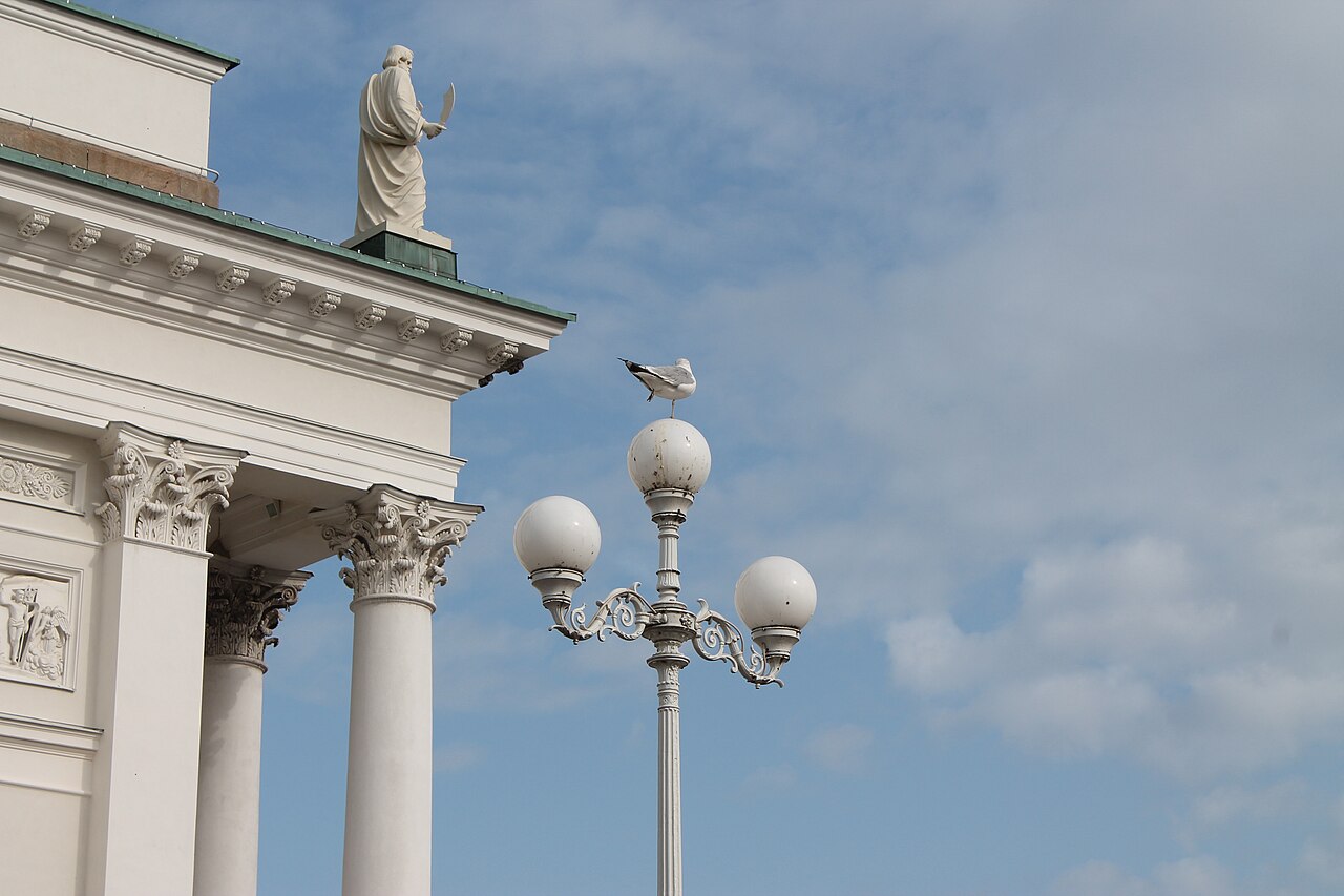 Mouette et cathédrale d'Helsinki