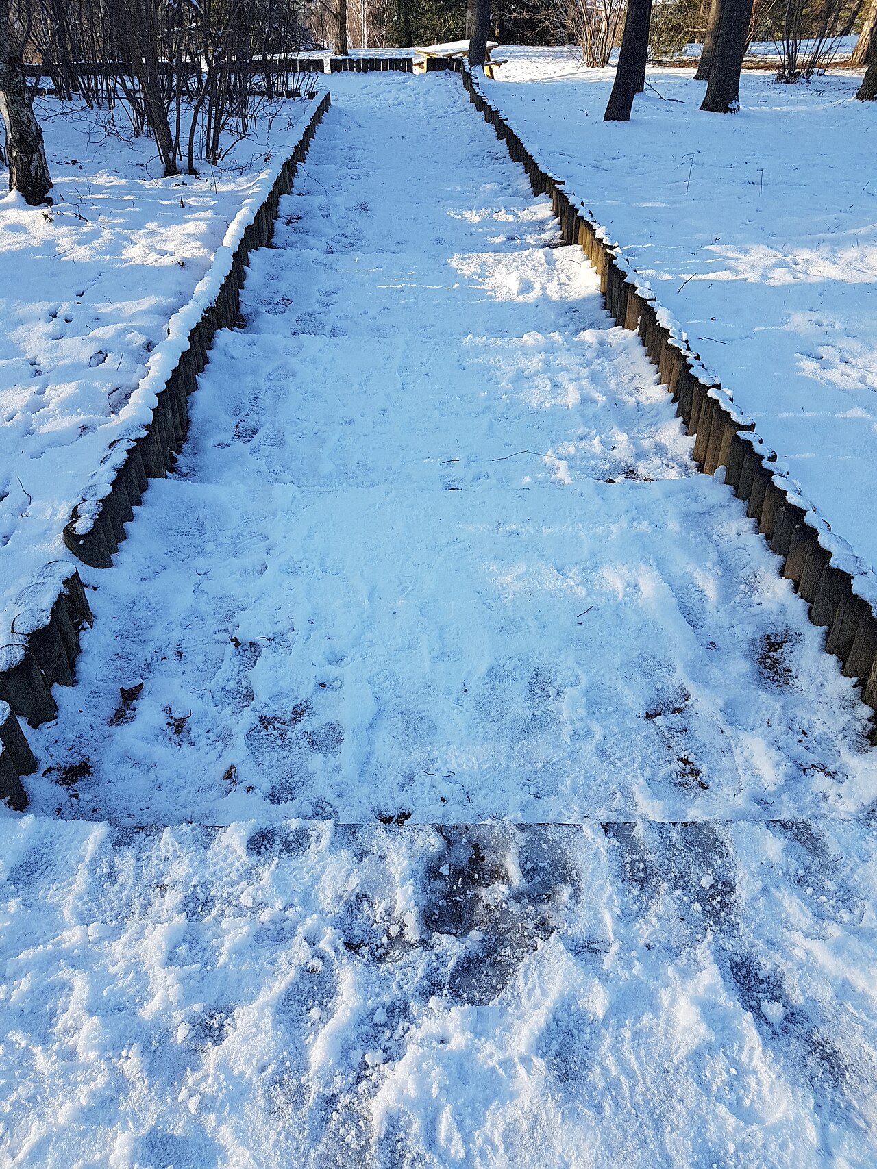  Snow in Montjuzet park