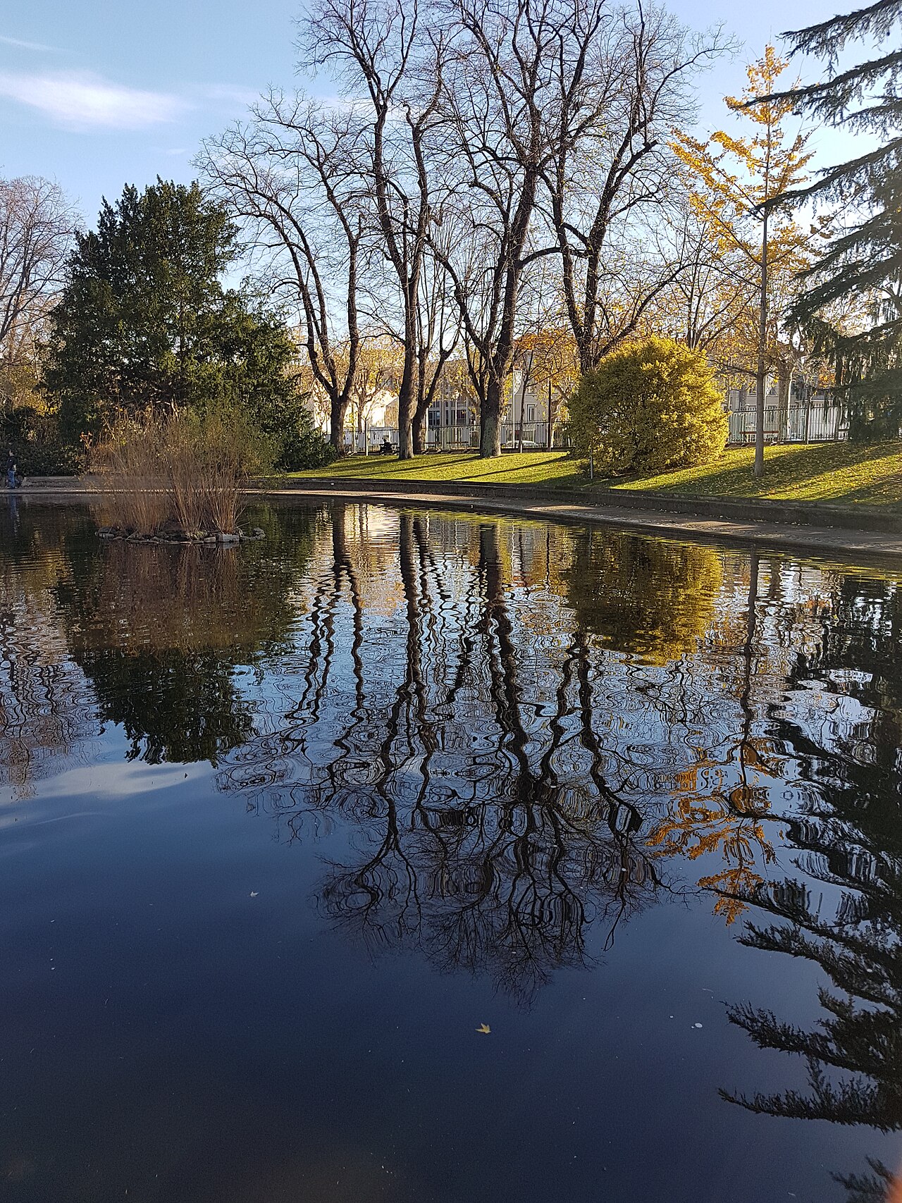  Snow in Montjuzet park