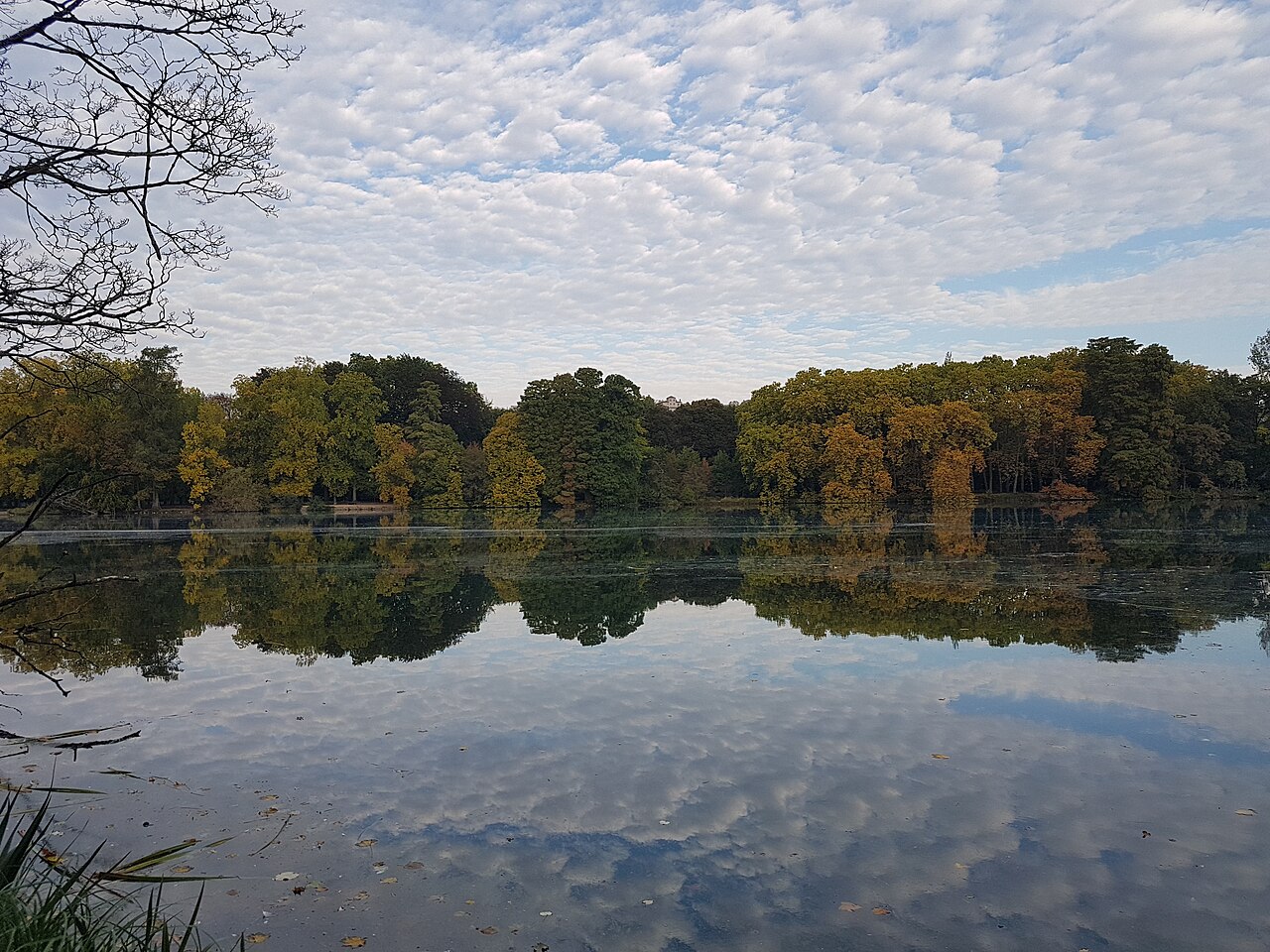 Árvores e nuvens em Lyon
