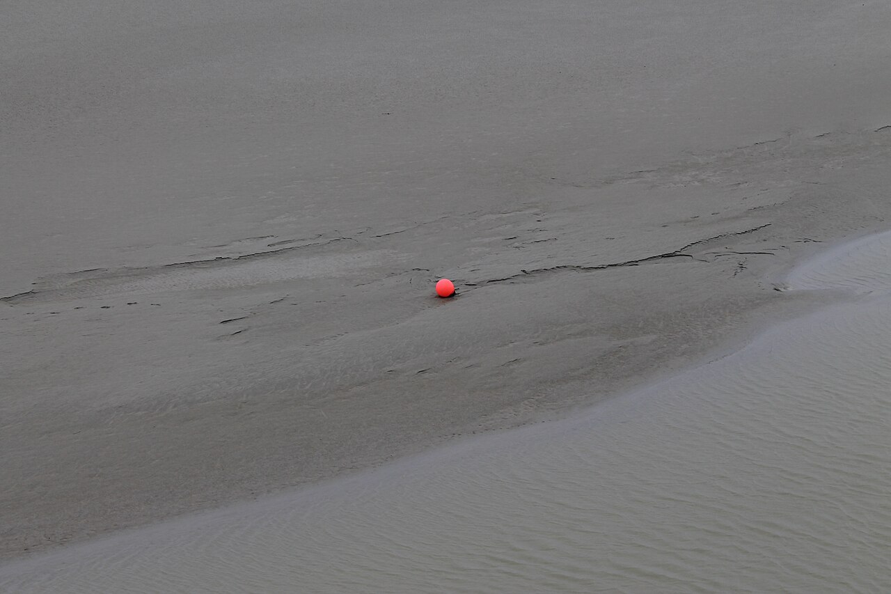 Vasière du Mont Saint-Michel