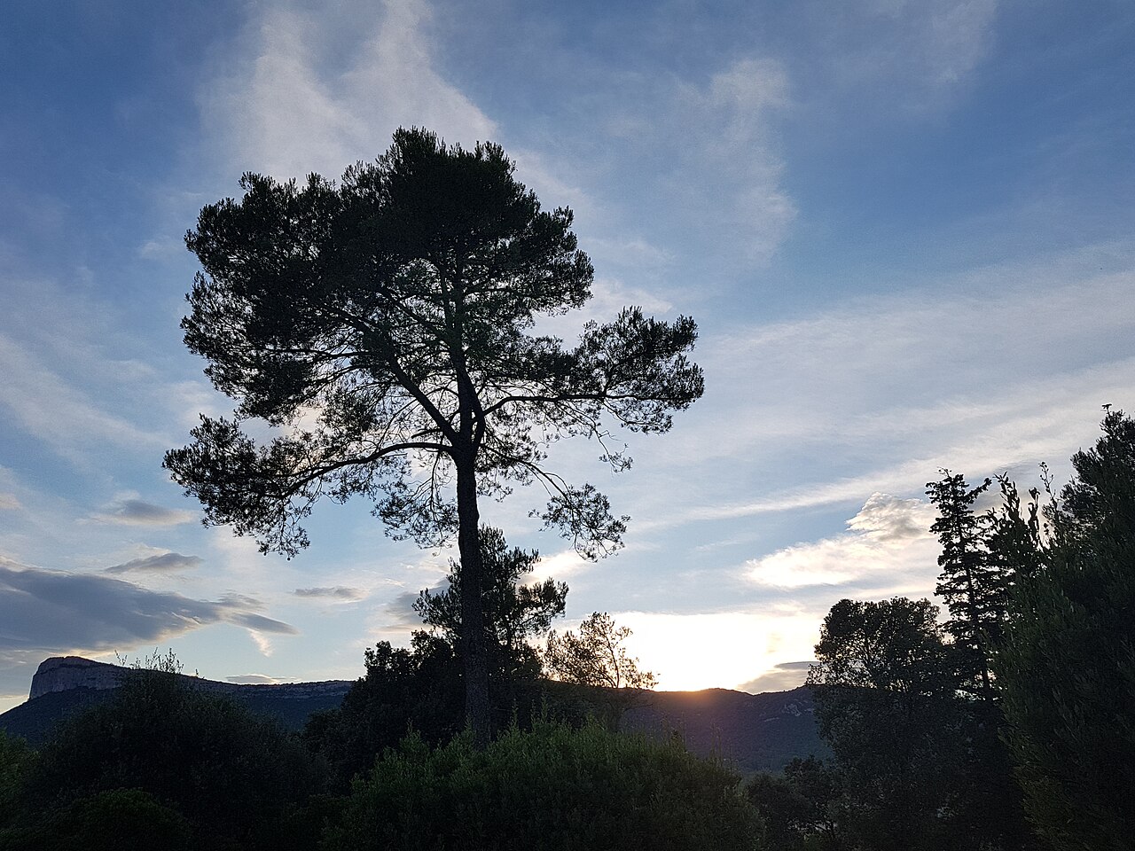 Sunset, Pic-Saint-Loup