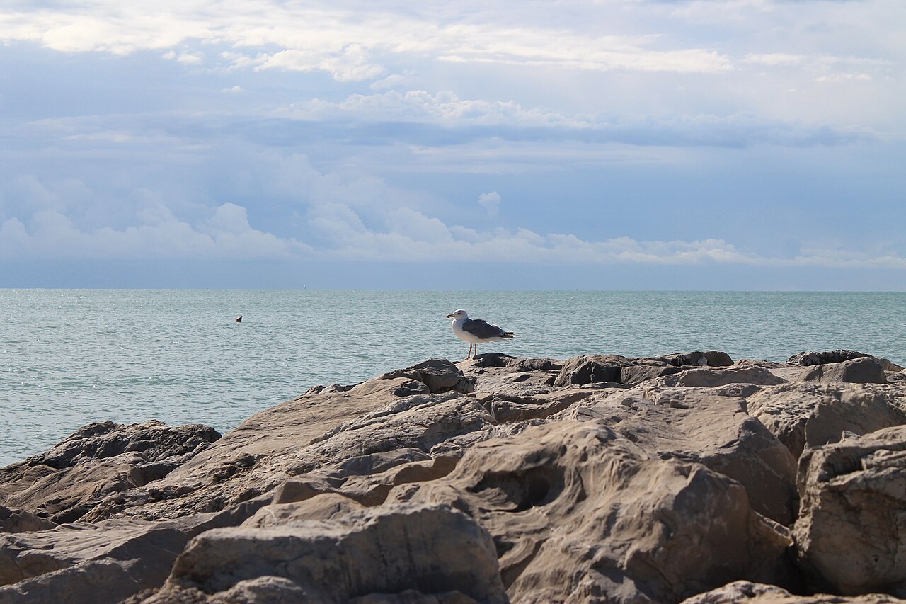 Plage rocheuse à Venise
