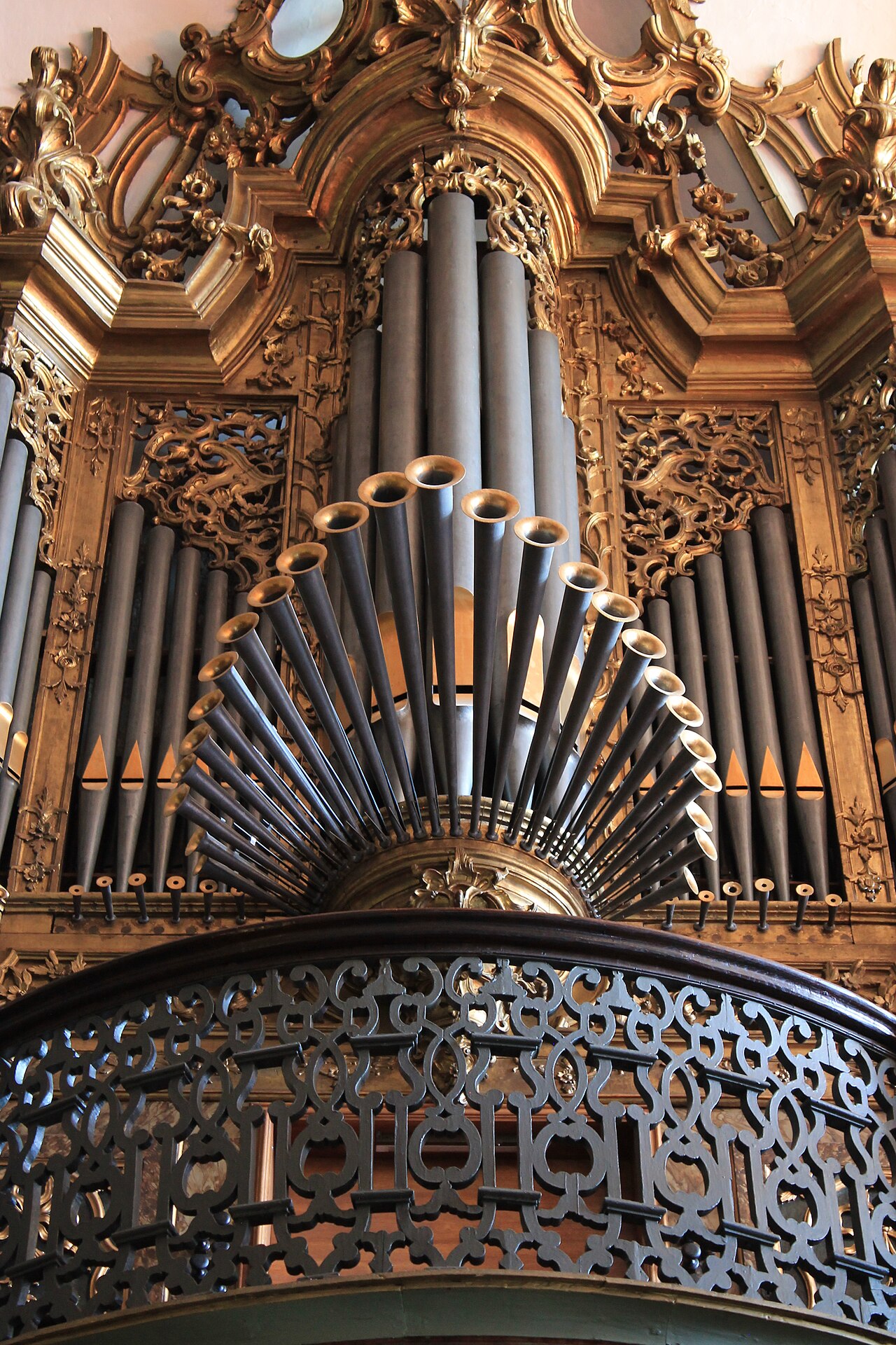 Órgão de tubos, Porto