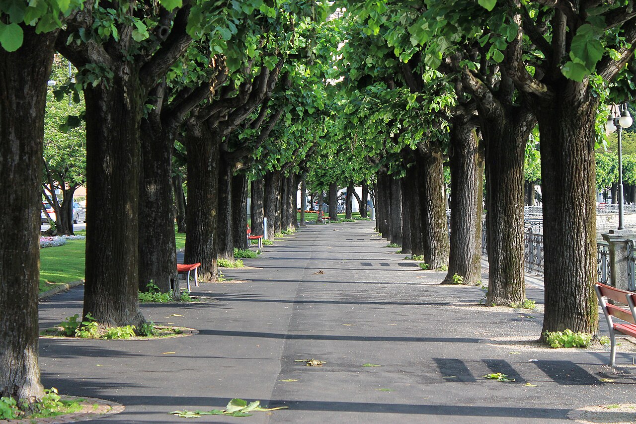 Caminho arborizado em Lugano